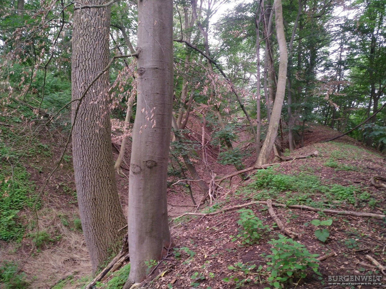 Bild Graben Harliburg Spur der Steine - Graeben im Wald